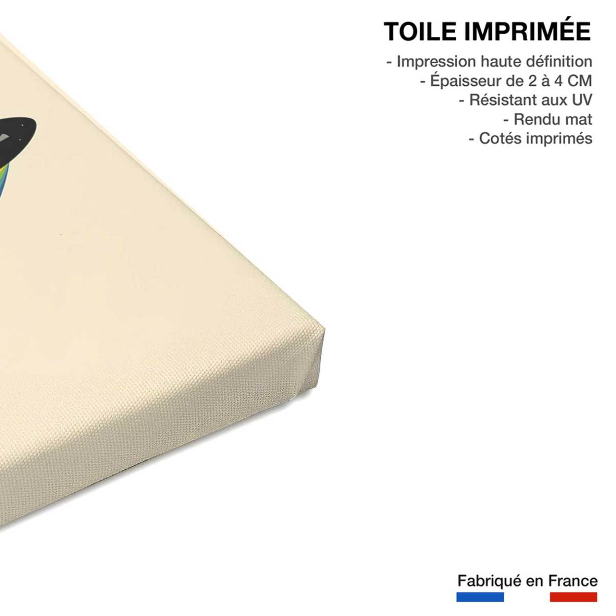 Tableau surf and koala Toile imprimée