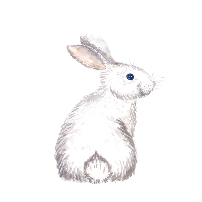 Tableau enfants pour le lapinou  Tableau alu Dibond