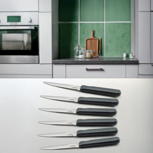 Energy Grigio - Set 6 coltelli da bistecca