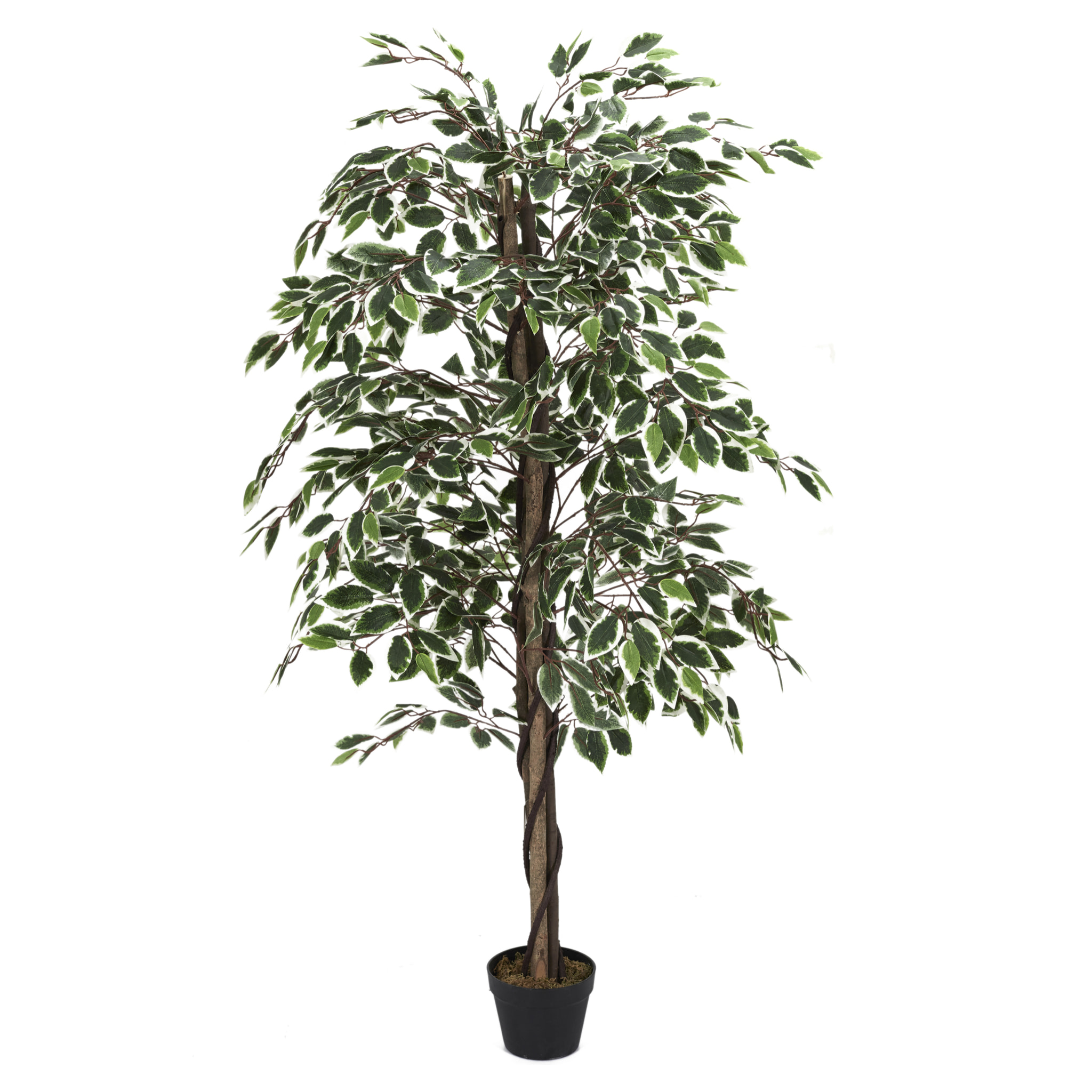 PLANTE ARTIFICIELLE FEUILLAGE PANACHE 160CM
