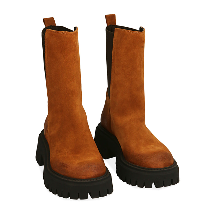 Ankle boots cognac in camoscio, tacco 5,5 cm