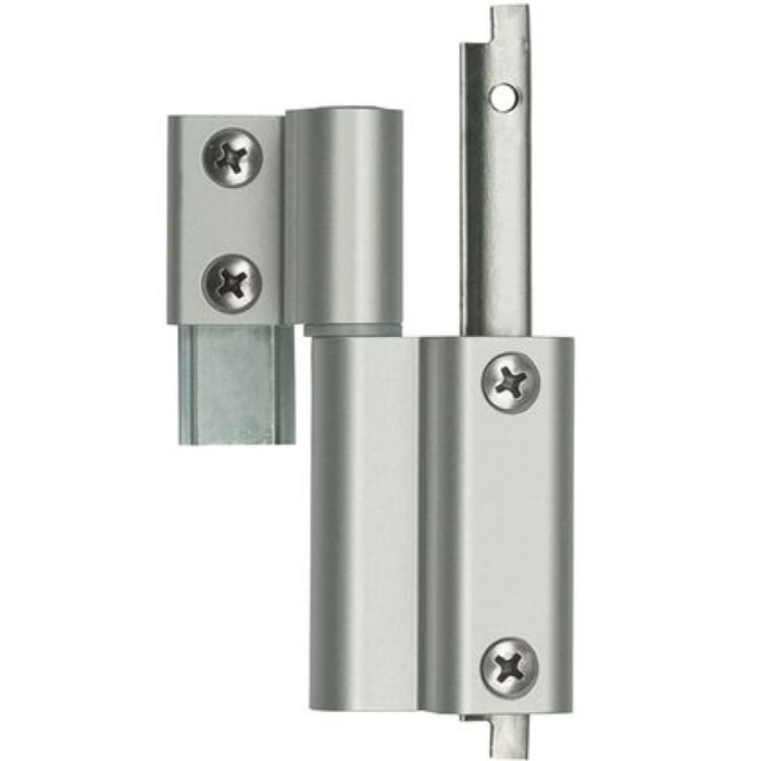 Paire de paumelle centrale Galicube FAPIM NJ aspect inox - 1409A-NJ