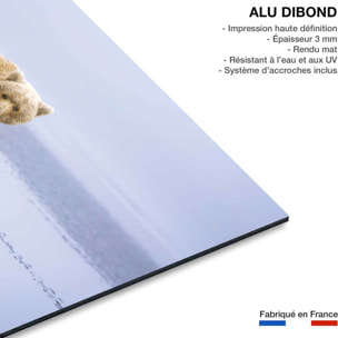 Tableau la marche de l'Ours Tableau alu Dibond