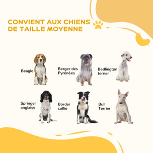 Barrière de sécurité pliable pour chien - 3 panneaux, porte verrouillable - dim. 206L x 90H cm - acier PP blanc