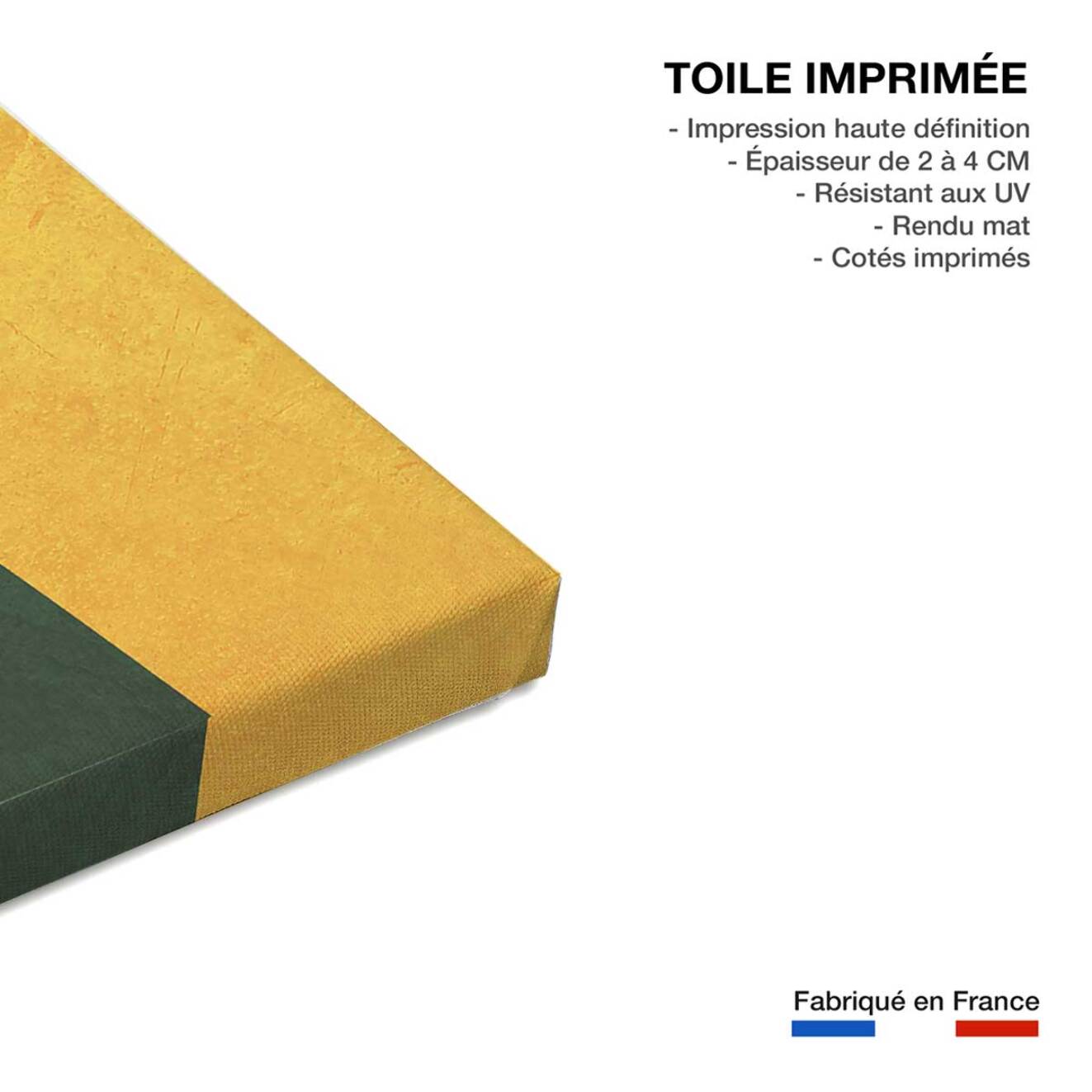 Tableau organique chrome 1  Toile imprimée