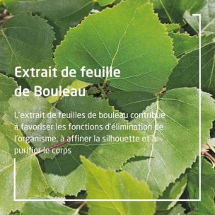 WELEDA - DUO rituel corps - Huile de massage Minceur + Crème de douche gommante au Bouleau - Certifié Natrue**- Flacon pompe verre 100 ml et Tube 150 ml