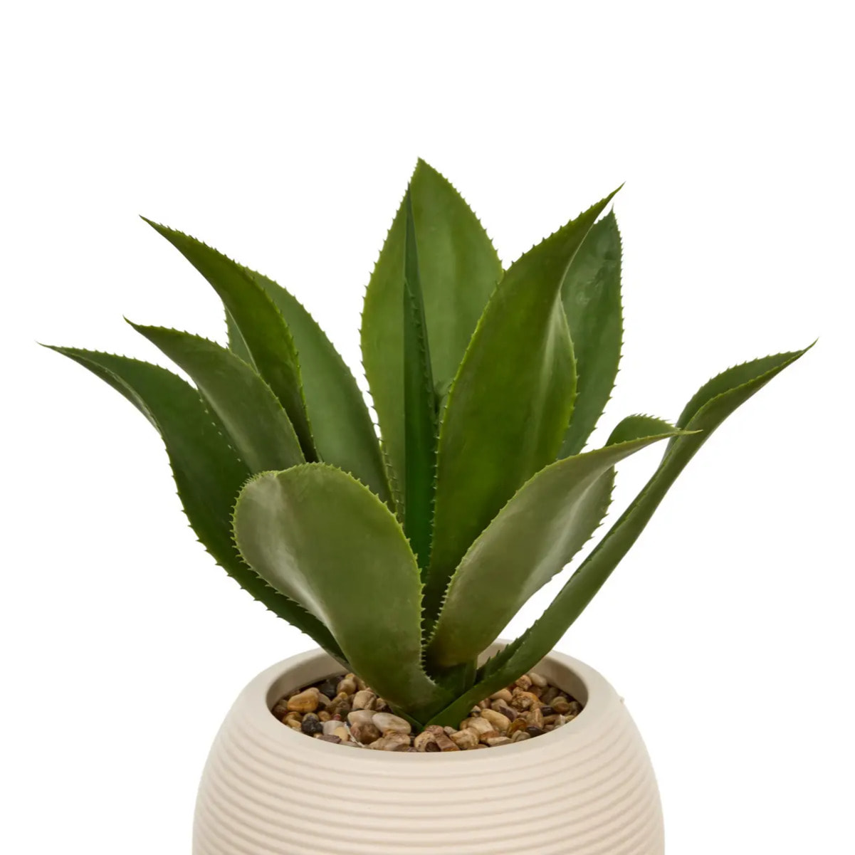 AGAVE POT PL BLC POSA H51