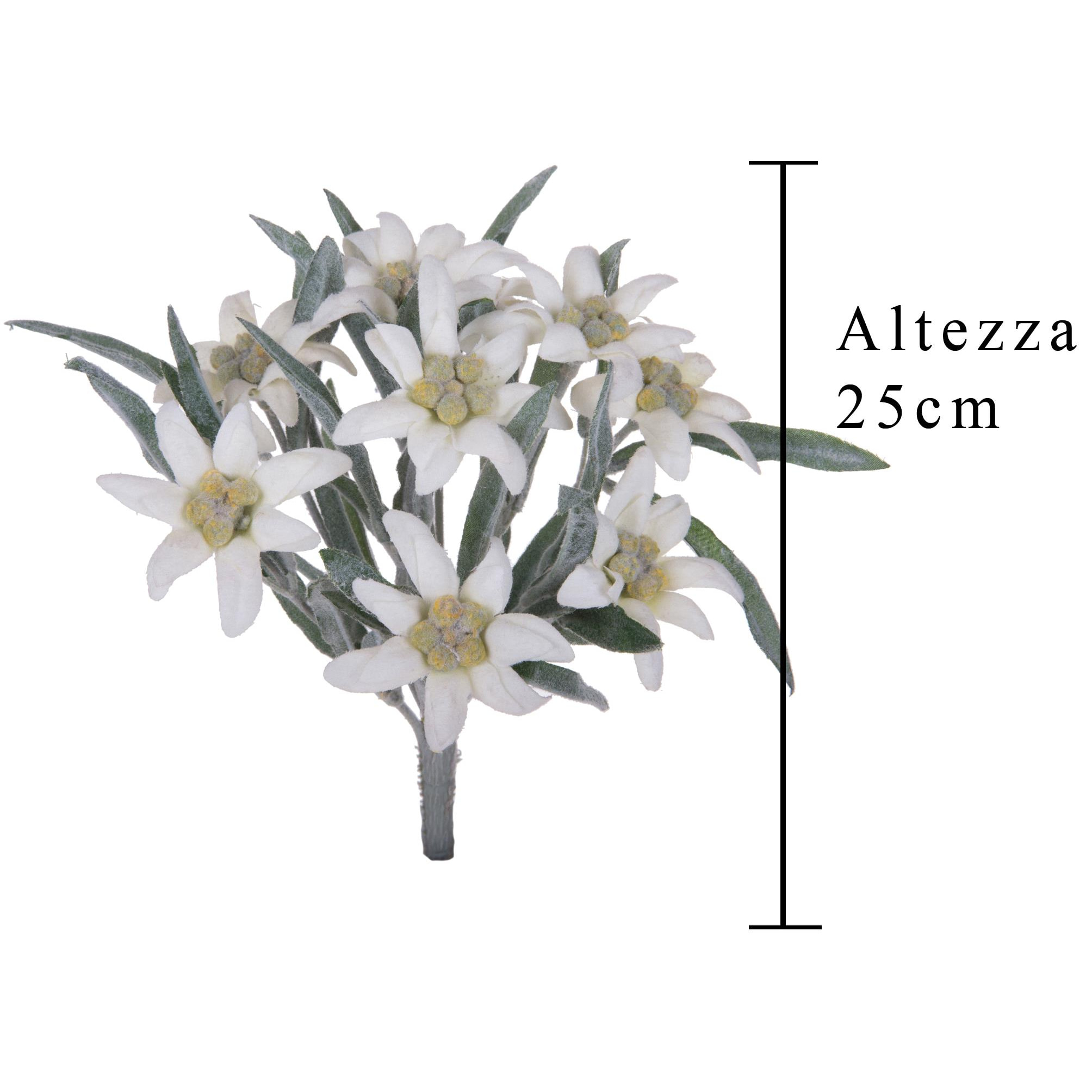 Stella alpina - Pezzi 12 - 14xH25,5x14cm - Bianchi Dino SpA