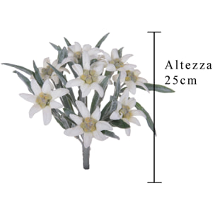 Stella alpina - Pezzi 12 - 14xH25,5x14cm - Bianchi Dino SpA