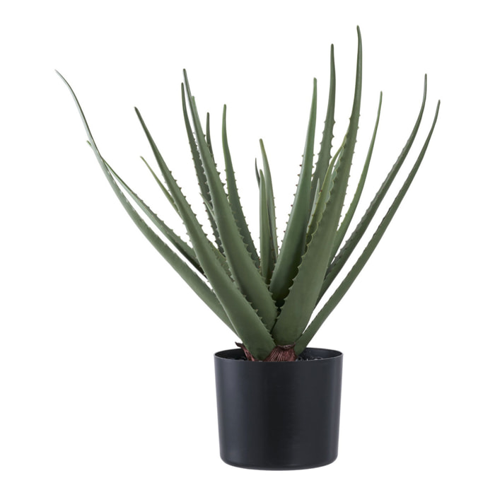 Pianta artificiale Aloe Vera in vaso nero H51 cm