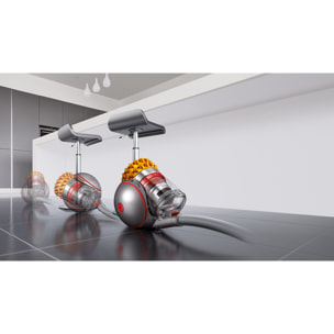 Aspirapolvere a traino Dyson Cinetic Big Ball Multifloor 2 | Nuovo