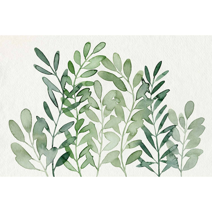 Tableau plantes fourrages  Tableau verre acrylique