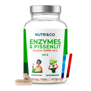 Nutri&Co Enzymes Digestives Digestion Difficile et Intolérance - 40 gélules