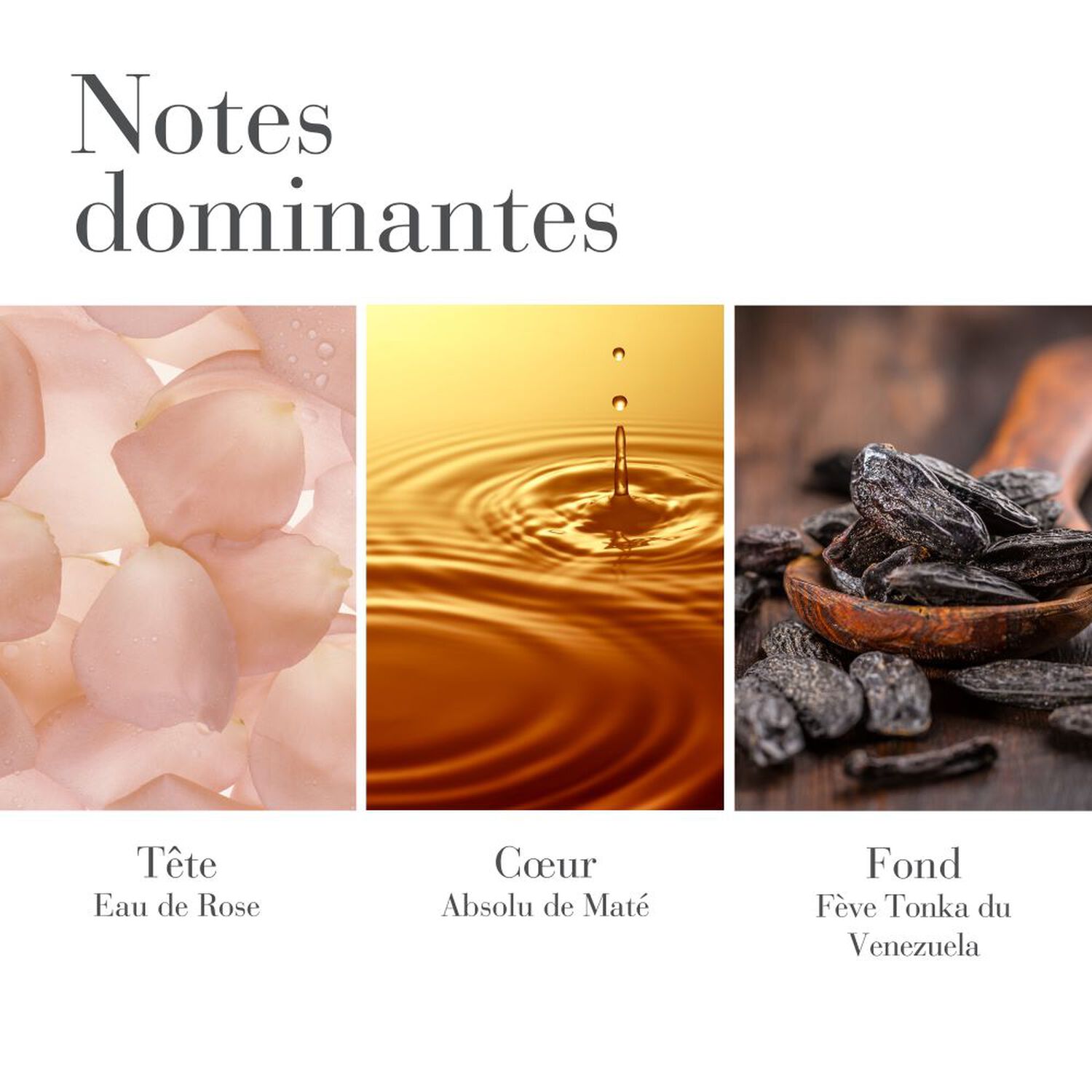 White Tea  - Eau de Parfum