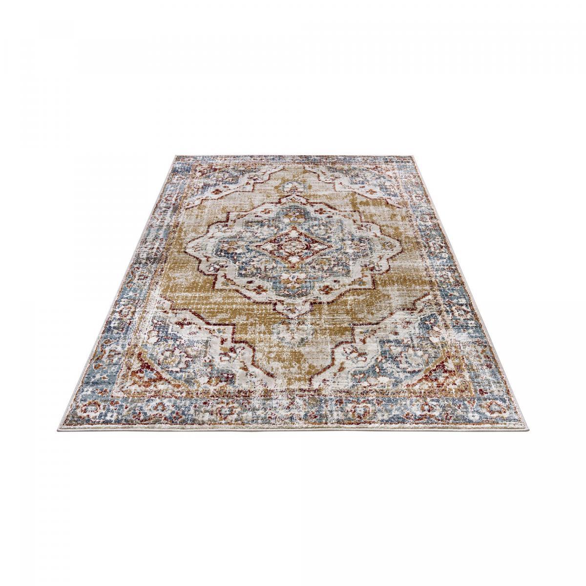 Tapis salon Rectangulaire Oriental