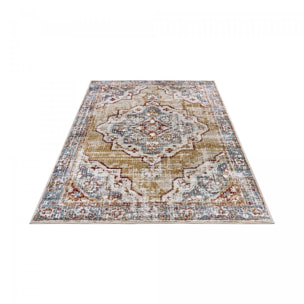 Tapis salon Rectangulaire Oriental