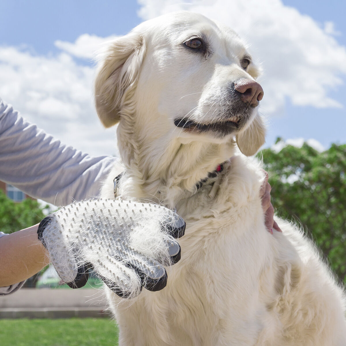 Pack Guanto per Pettinare e Massaggiare Animali Domestici e Guinzaglio Retrattile per Cani 6 in 1 InnovaGoods