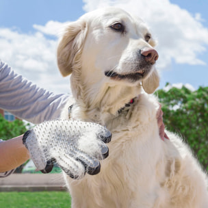 Pack Guanto per Pettinare e Massaggiare Animali Domestici e Guinzaglio Retrattile per Cani 6 in 1 InnovaGoods
