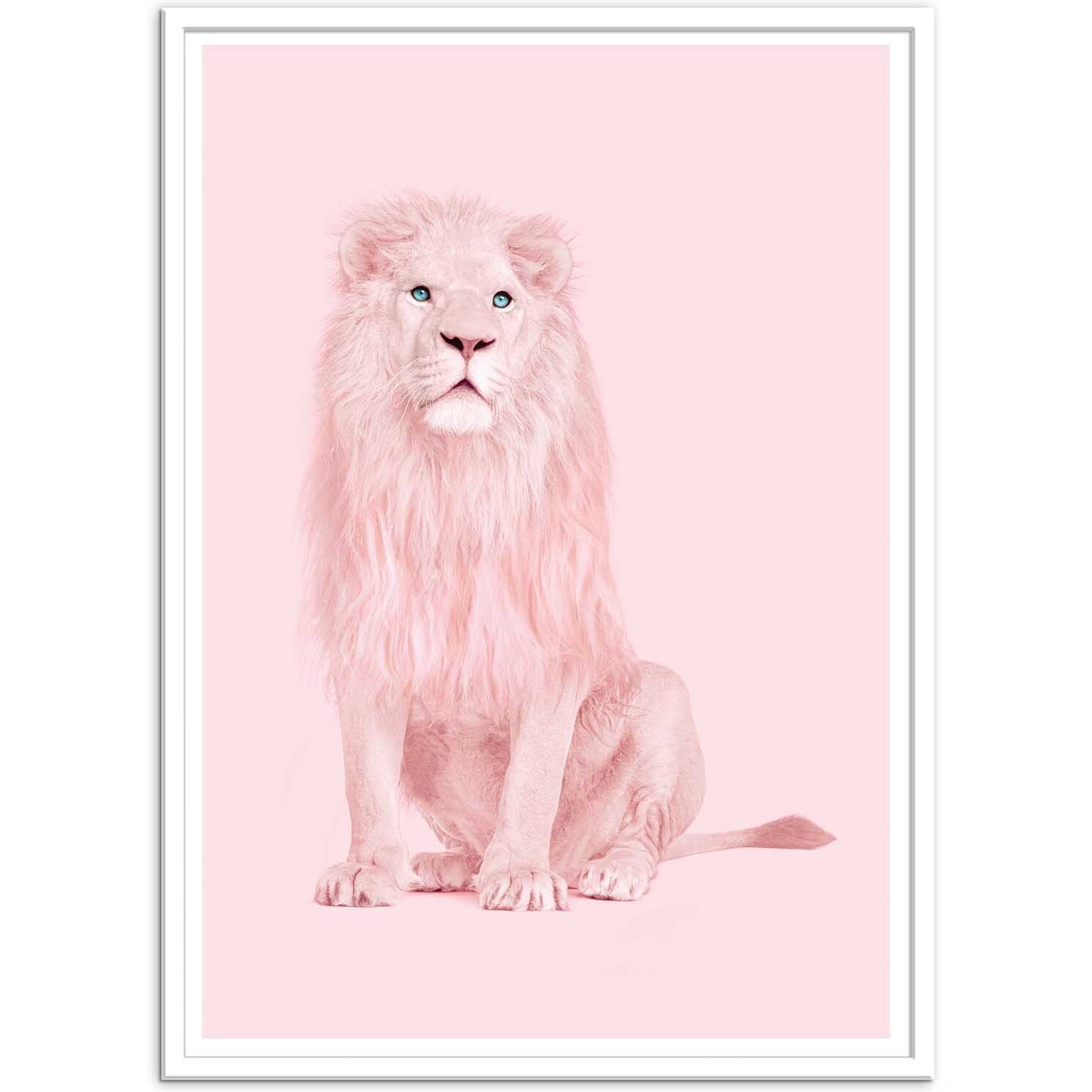 Affiche - Pink Lion - Paul Fuentes