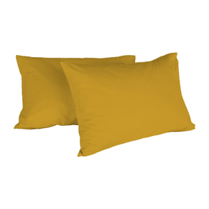 COPPIA FEDERE MAX COLOR, 100% Cotone, Made in Italy - SENAPE