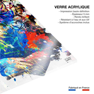 Tableau graffiti Affiche illustration joconde Tableau plexiglas