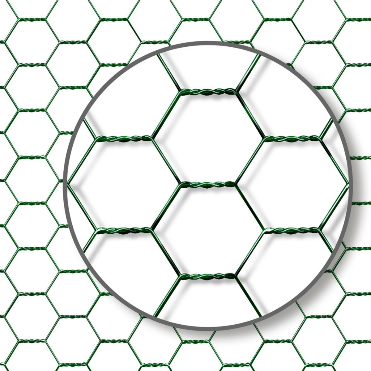 Enclos grillagé pour poules 12m² - 3x4m