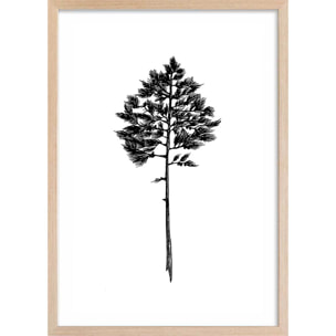 Poster pin landais Affiche sous cadre bois