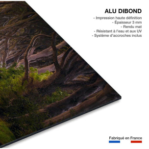 Tableau nature arbres enchanteurs Tableau alu Dibond