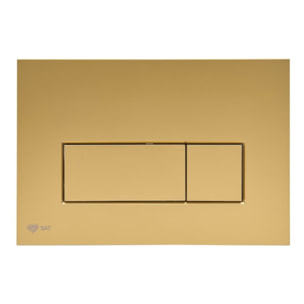 Pack WC bâti ECO 2L Swiss Aqua Technologies + WC suspendu Swiss Aqua Technologies + plaque or mat (STEST67WR06-FR)