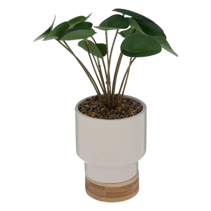 Plante artificielle en pot en céramique & bambou H26cm blanc