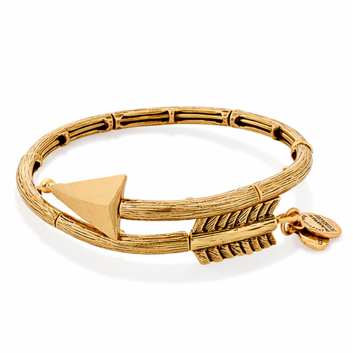 Pulsera Alex And Ani Mujer V16W02RG