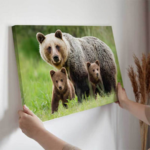 Tableau ours brun et ses oursons en pleine nature Toile imprimée