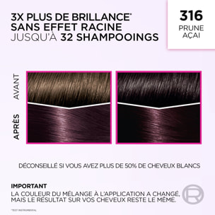 L'Oréal Paris Casting Crème Gloss Coloration 316 Prune exquise