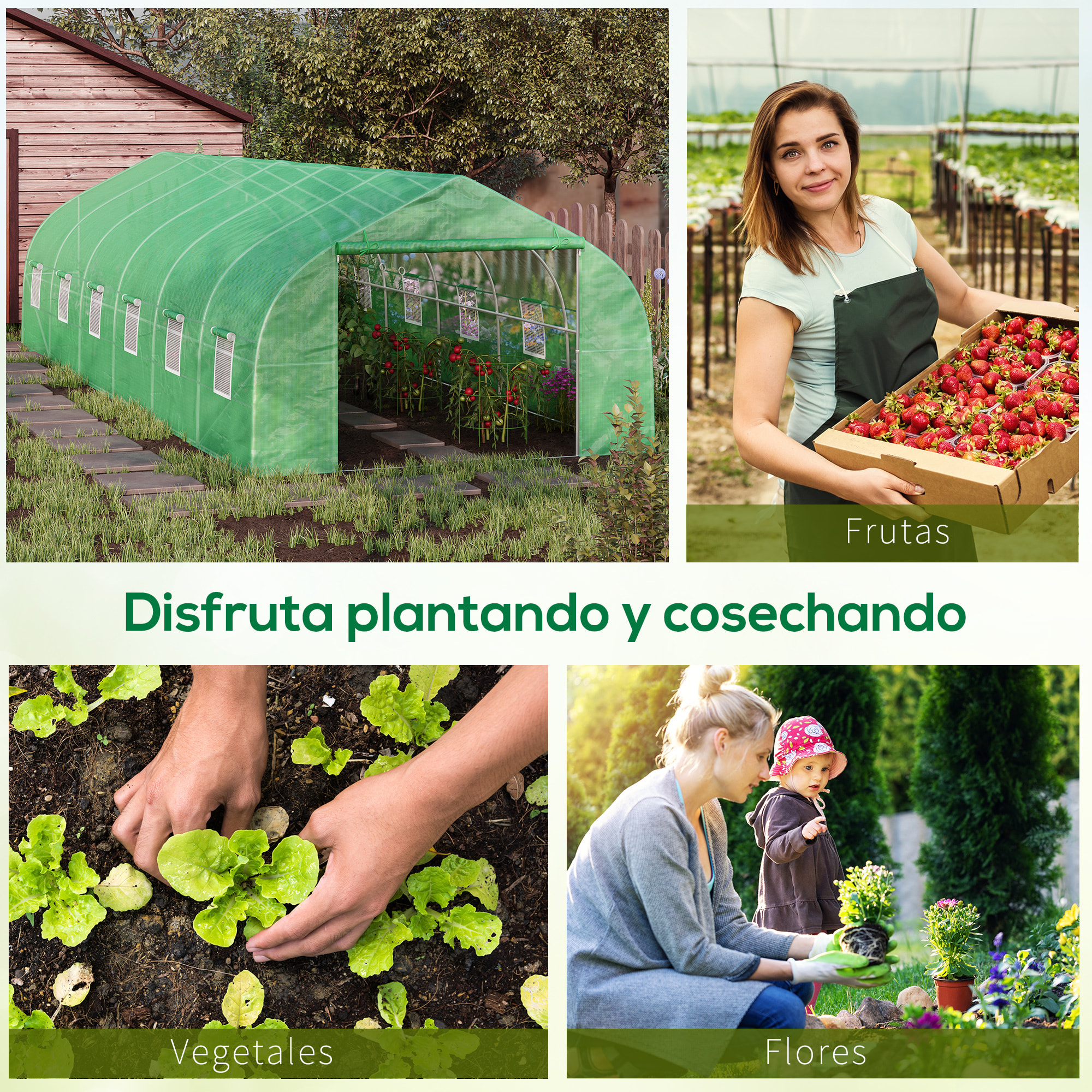 Invernadero de Jardín 800x300x200 cm Tipo Túnel para Cultivo de Plantas Acero PE