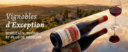 Les Vignobles français