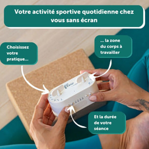 Box audio sport MORPHEE FLOW