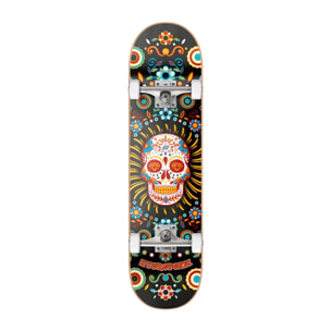 Skate completo Hydroponic MEXICAN CO BLACK SKULL