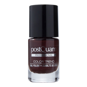 Smalti Unghie Metalic Charry 10 Ml.