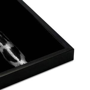Affiche encadrée girafe en noir et blanc sur fond noir Affiche + cadre en métal - Noir