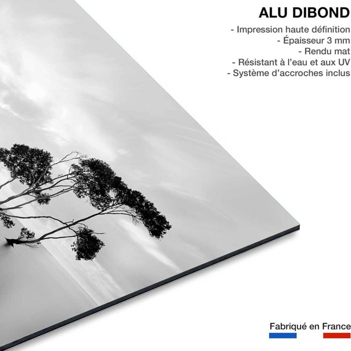 Tableau paysage La décrue Tableau alu Dibond