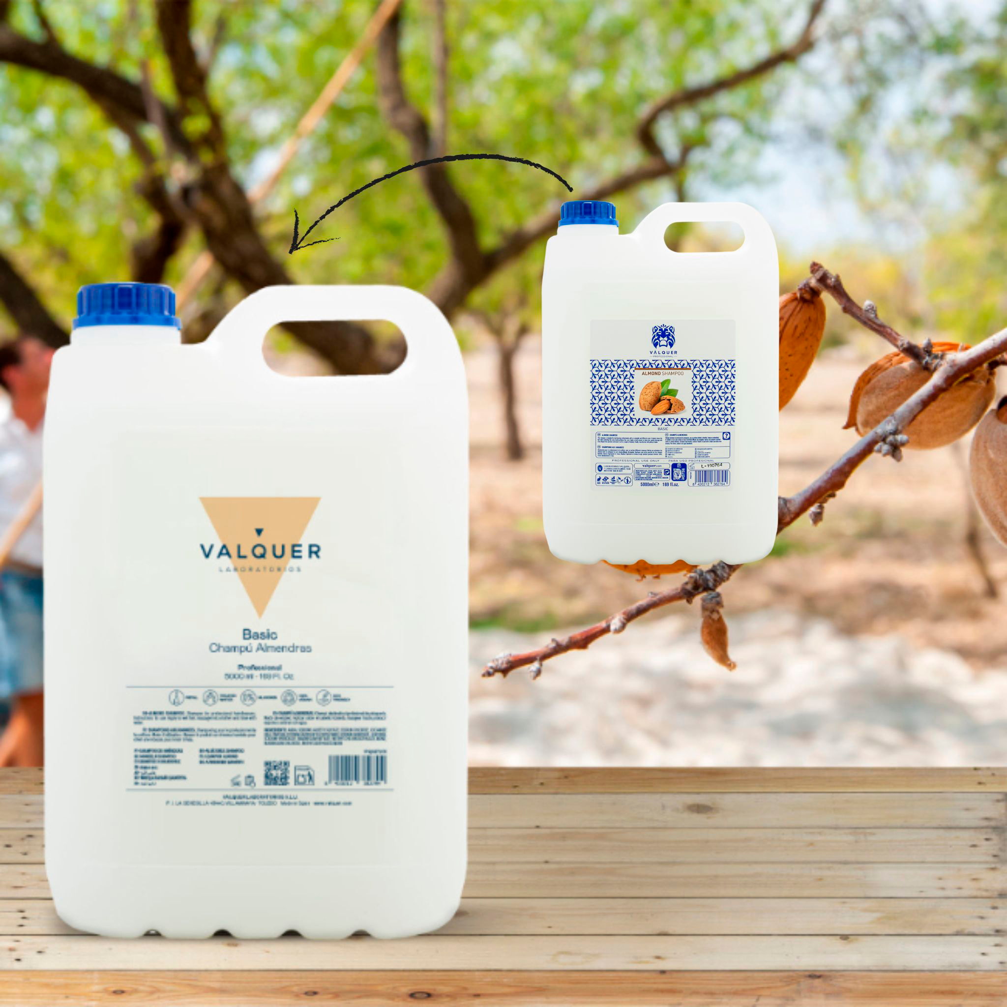 Valquer Champú almendras - 5000 ml