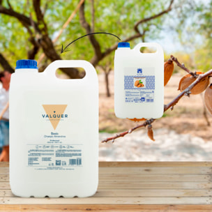 Valquer Champú almendras - 5000 ml