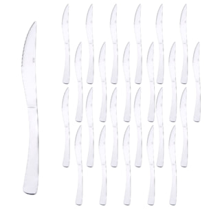 Set de 24 cuchillos de acero inoxidable de diseño clásico pisa renberg