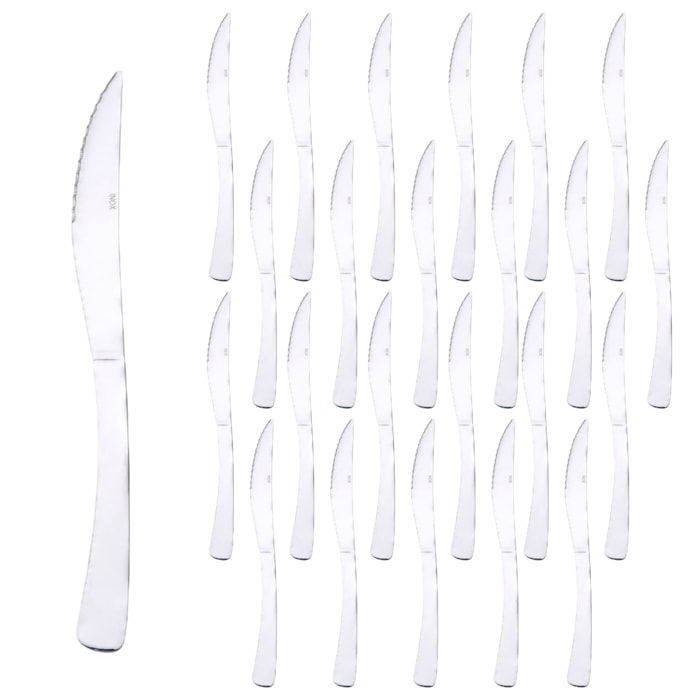 Set de 24 cuchillos de acero inoxidable de diseño clásico pisa renberg