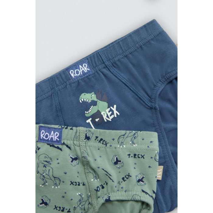 Confezione da 2 slip in cotone per bambini con stampa di dinosauri