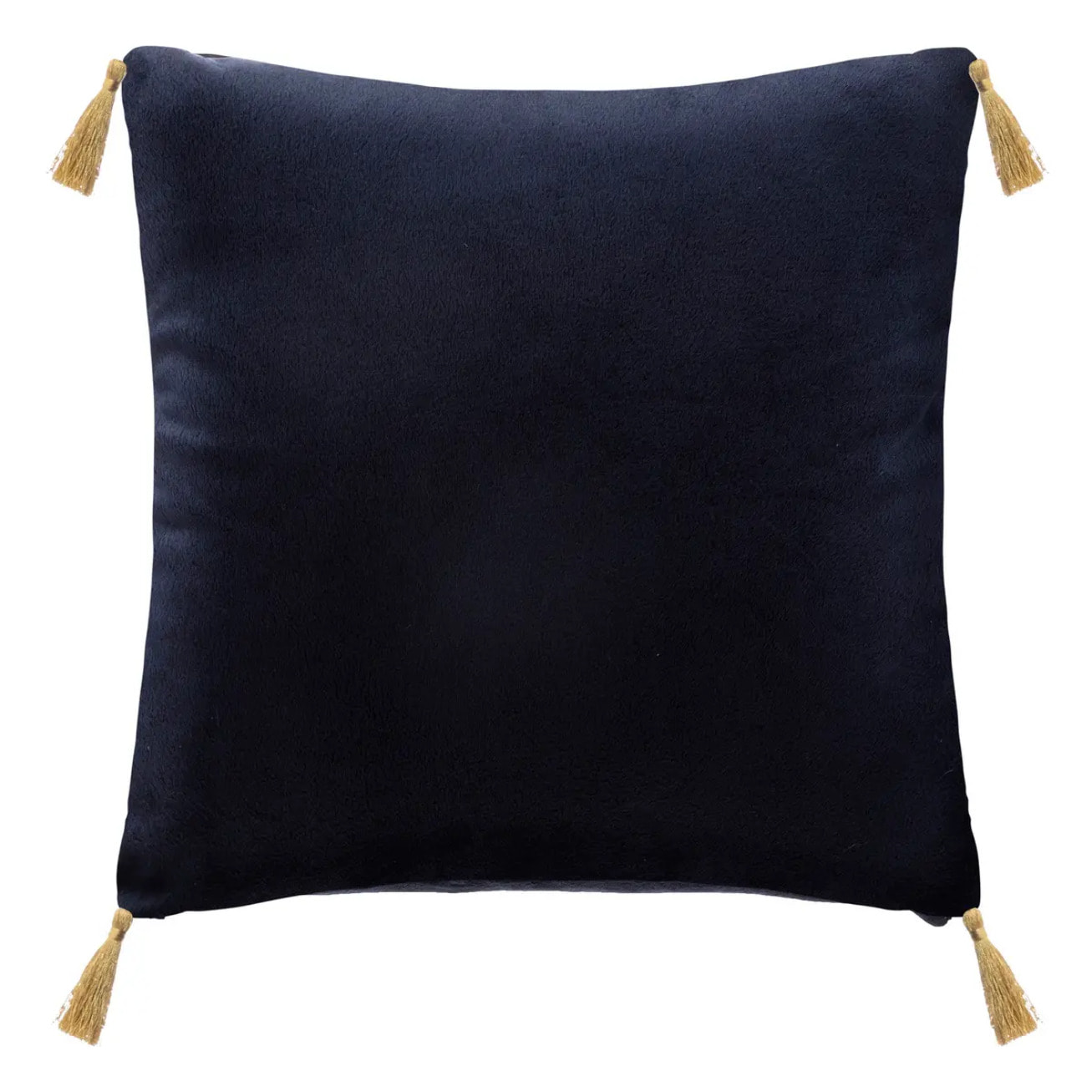 Coussin Casse Noisette 40 cm