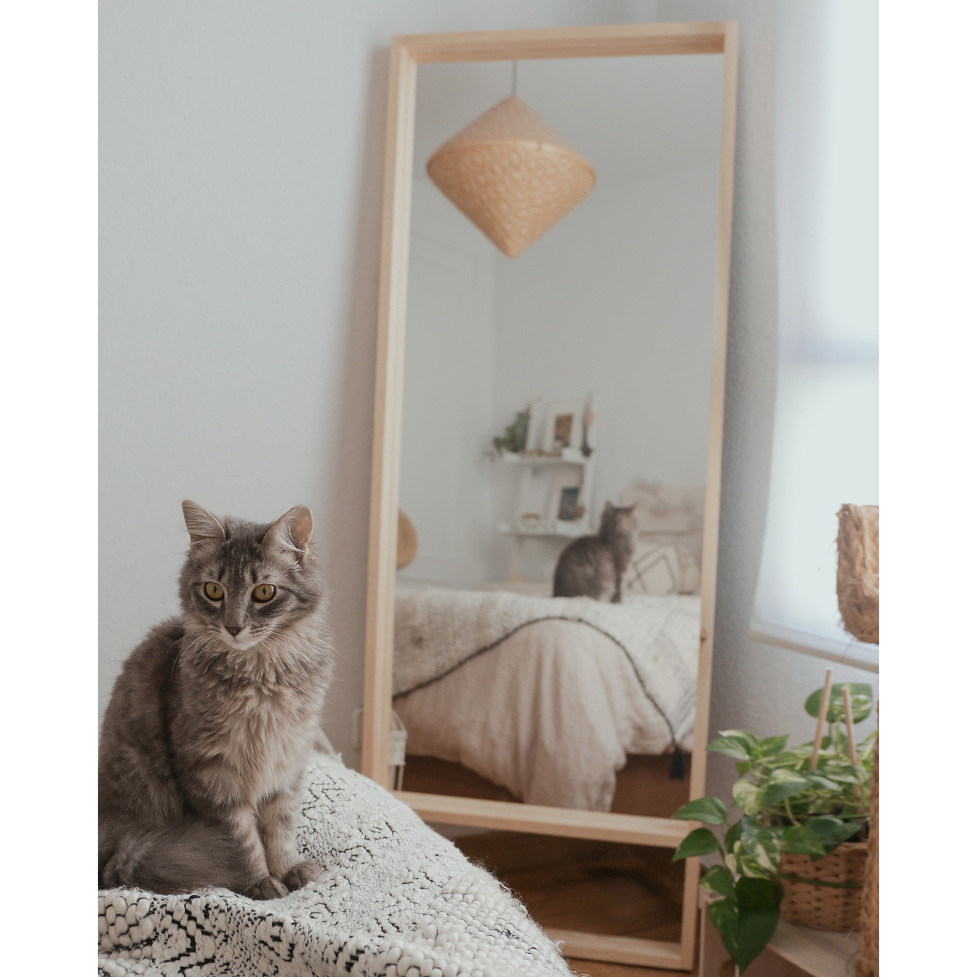 Miroir effet bois massif ton naturel en différentes tailles