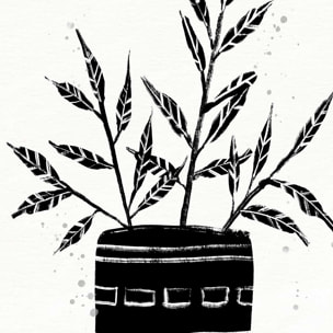 Illustration Botanique et Poterie terre cuite Affiche sous cadre noir