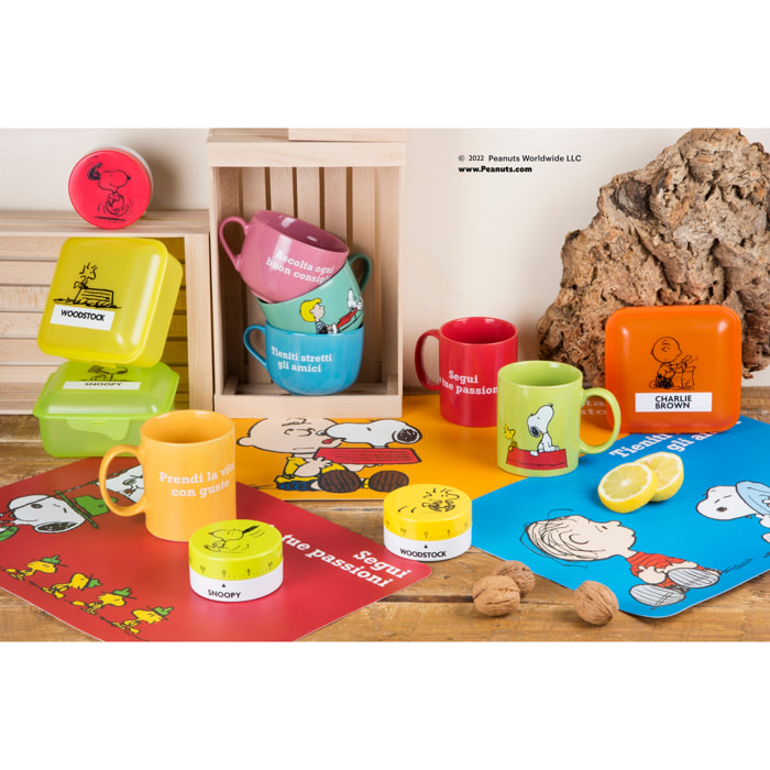 Set de 6 sets de table rectangulaires Snoopy Excelsa – Peanuts, Polypropylène Multicolore