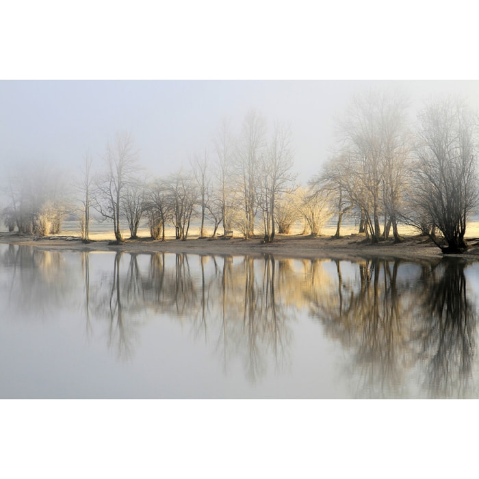 Tableau paysage Une journee de janvier Tableau plexiglas